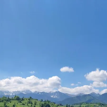 Gasienica Apartamenty Queen Zakopane Exterior photo