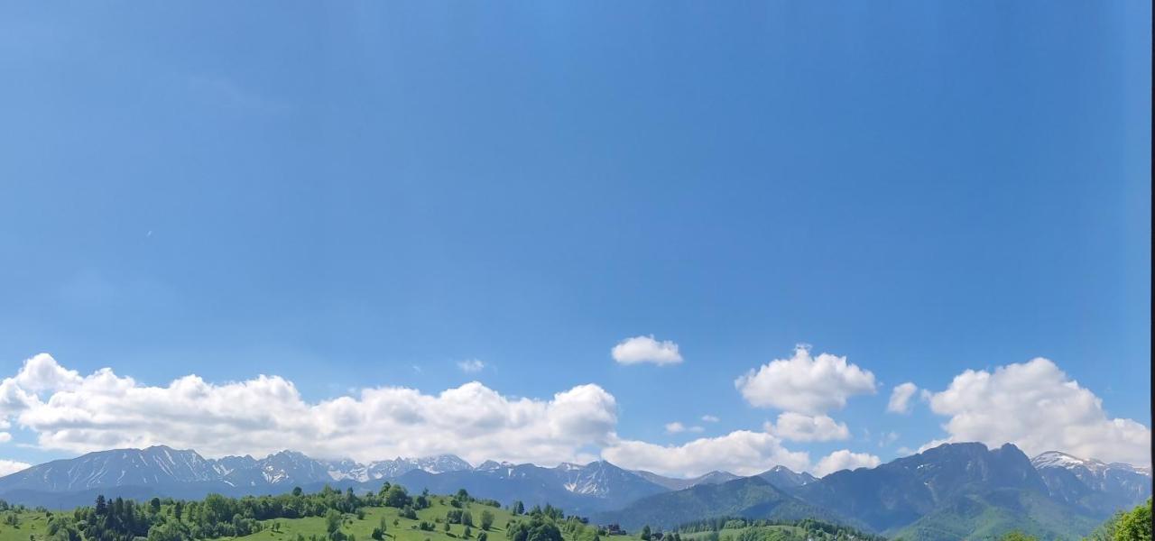 Gasienica Queen * Zakopane